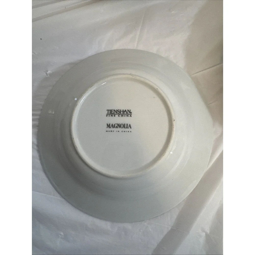 Tianshan Magnolia Set of 4 Rim Soup Pasta Bowls 8